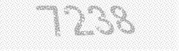 Visual security code — type the characters shown in the image